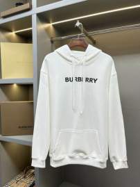 Picture of Burberry Hoodies _SKUBurberryS-2XLaztx85901828